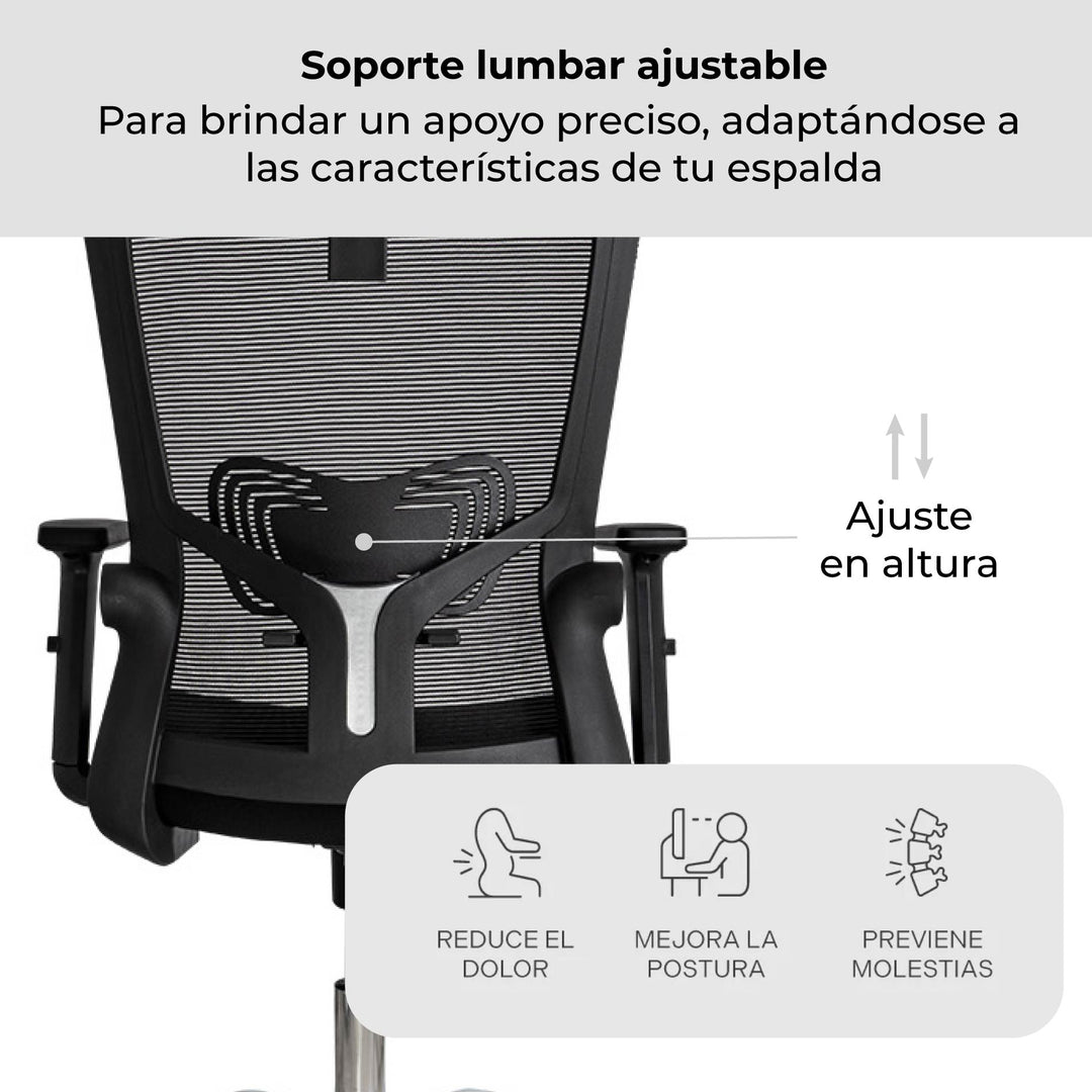 Silla de Oficina Gerente Delphi 1 Basculante Premium