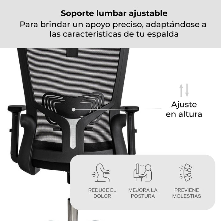 Silla de Oficina Gerente Delphi 1 Basculante Premium