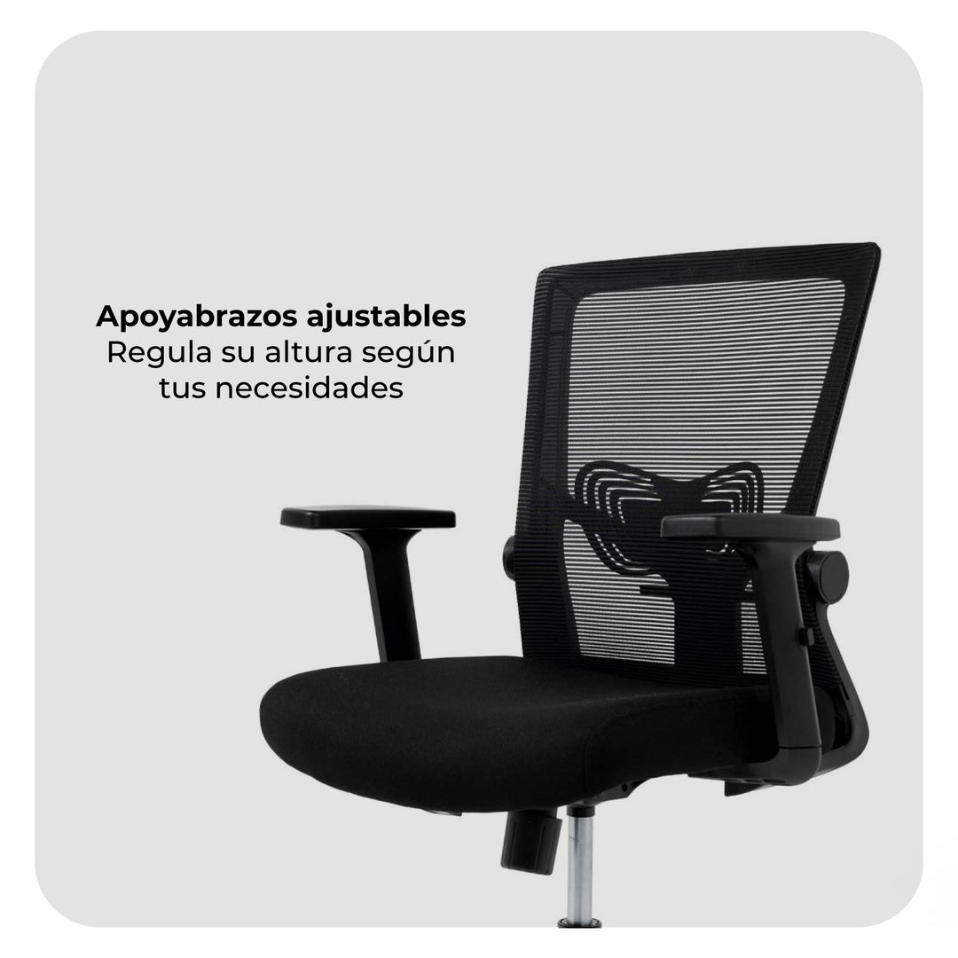 Silla de Oficina Gerente Delphi 1 Basculante Premium