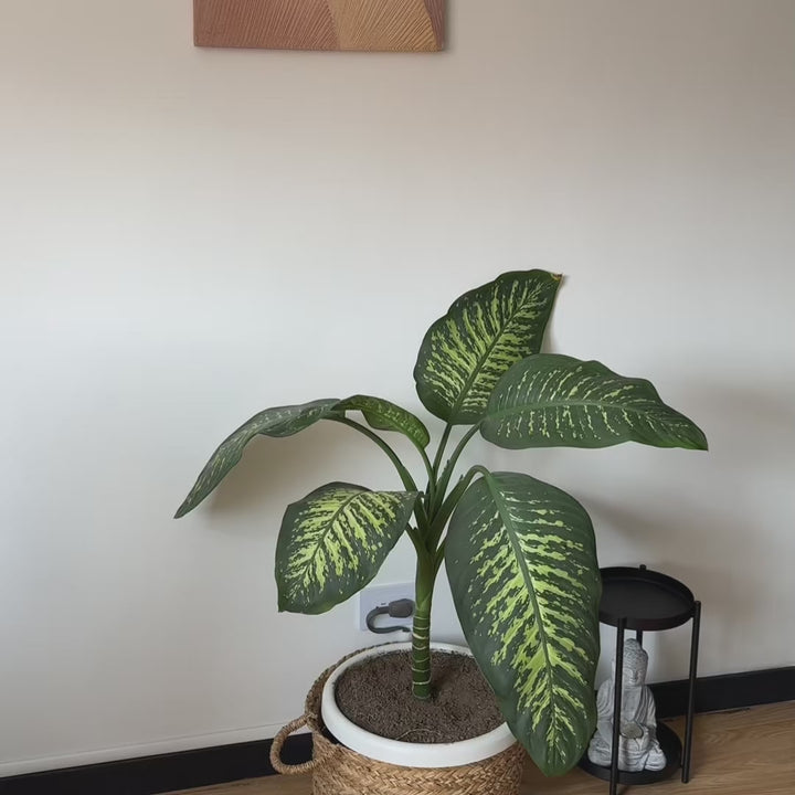 Silla Auxiliar Vita Con Brazo Negra
